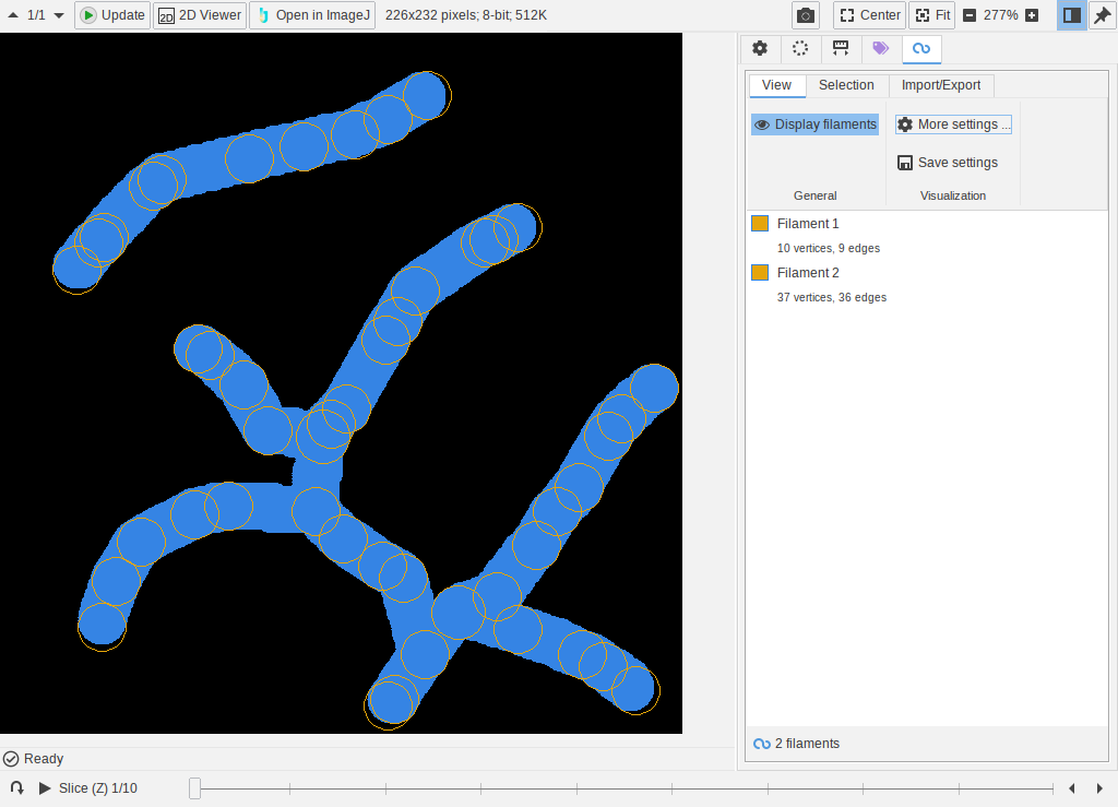 filaments-display-2d-2.png