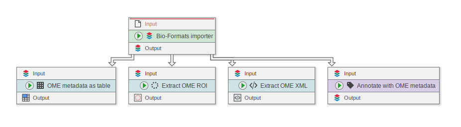 ome-image-data-extraction.png