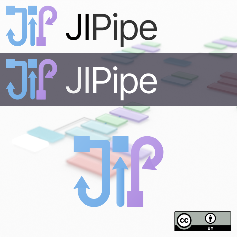 JIPipe logo showcase